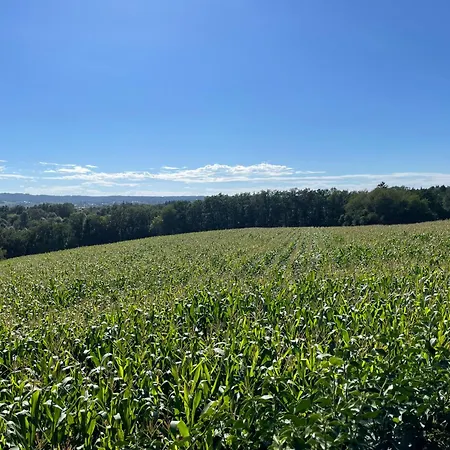 Tiny-house Mit Alpen- Stadt- Und Poolblick , Wlan * Пассау