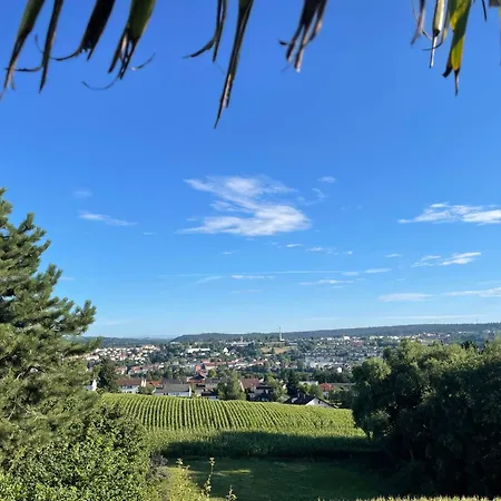 Tiny-house Mit Alpen- Stadt- Und Poolblick , Wlan Ferienhaus Passau