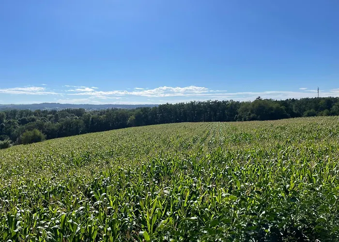 Tiny-house Mit Alpen- Stadt- Und Poolblick , Wlan * Passau